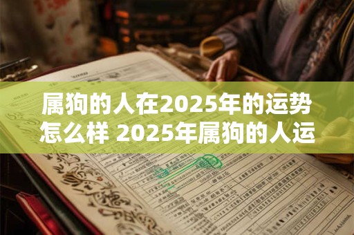 属狗的人在2025年的运势怎么样 2025年属狗的人运势如何