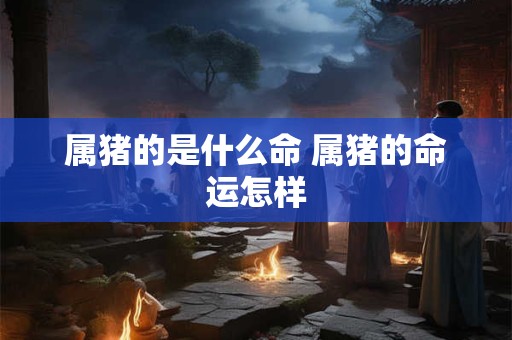 属猪的是什么命 属猪的命运怎样