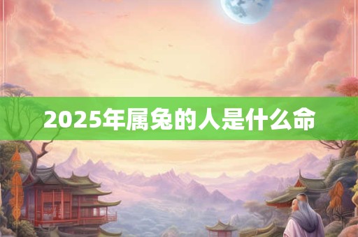 2025年属兔的人是什么命
