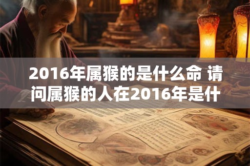 2016年属猴的是什么命 请问属猴的人在2016年是什么命