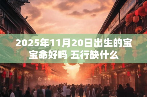 2025年11月20日出生的宝宝命好吗 五行缺什么