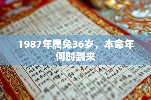 1987年属兔36岁，本命年何时到来