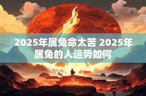 2025年属兔命太苦 2025年属兔的人运势如何