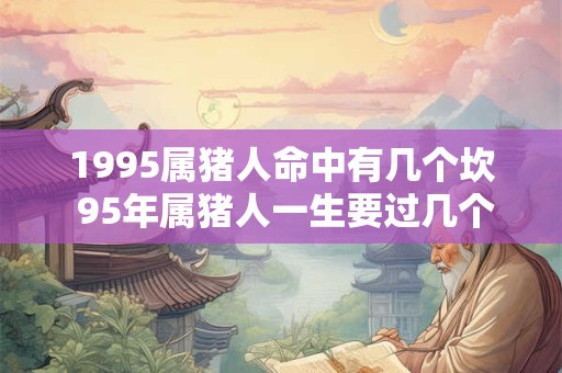1995属猪人命中有几个坎 95年属猪人一生要过几个难关
