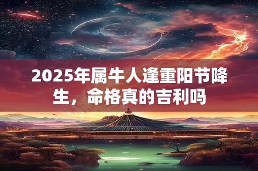 2025年属牛人逢重阳节降生，命格真的吉利吗