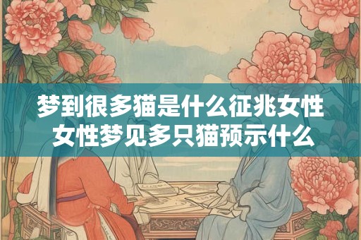 梦到很多猫是什么征兆女性 女性梦见多只猫预示什么