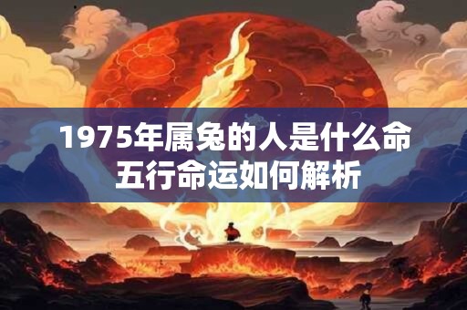 1975年属兔的人是什么命 五行命运如何解析