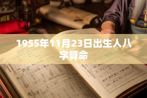 1955年11月23日出生人八字算命