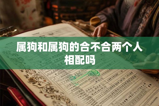 属狗和属狗的合不合两个人相配吗