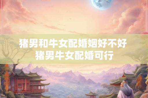 猪男和牛女配婚姻好不好 猪男牛女配婚可行