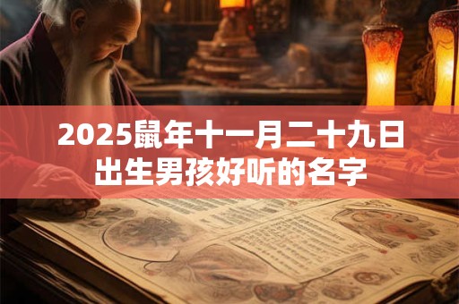 2025鼠年十一月二十九日出生男孩好听的名字