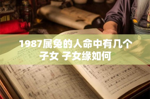 1987属兔的人命中有几个子女 子女缘如何