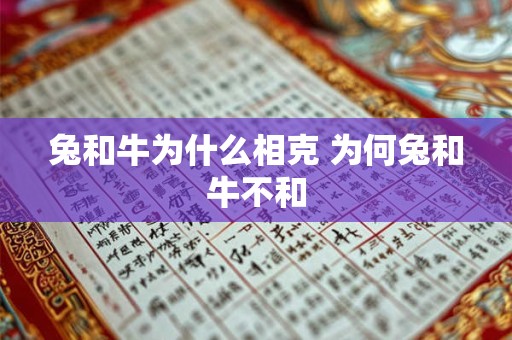 兔和牛为什么相克 为何兔和牛不和