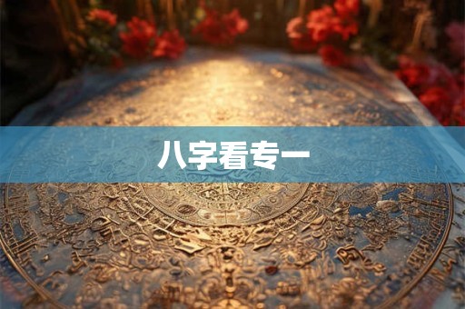 八字看专一