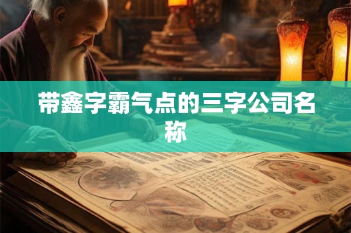 带鑫字霸气点的三字公司名称