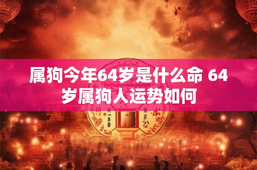 属狗今年64岁是什么命 64岁属狗人运势如何