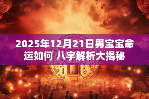 2025年12月21日男宝宝命运如何 八字解析大揭秘