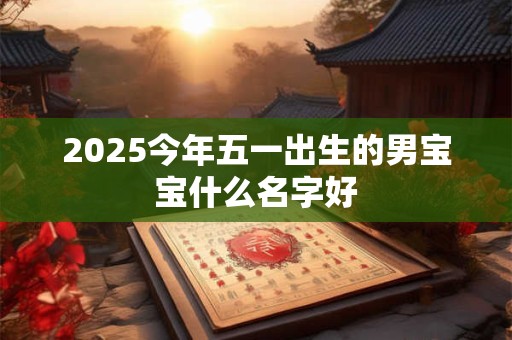 2025今年五一出生的男宝宝什么名字好