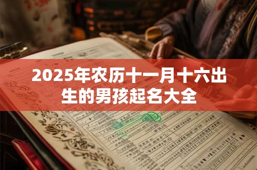 2025年农历十一月十六出生的男孩起名大全