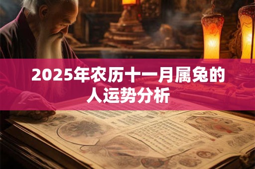 2025年农历十一月属兔的人运势分析