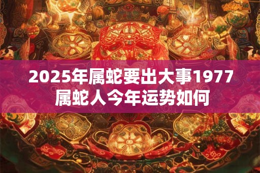 2025年属蛇要出大事1977 属蛇人今年运势如何