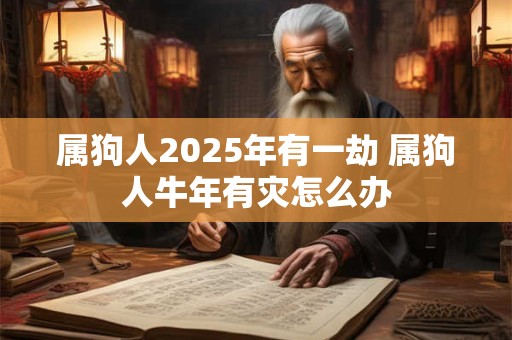 属狗人2025年有一劫 属狗人牛年有灾怎么办