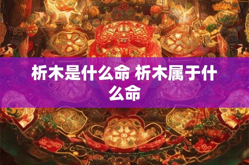 析木是什么命 析木属于什么命