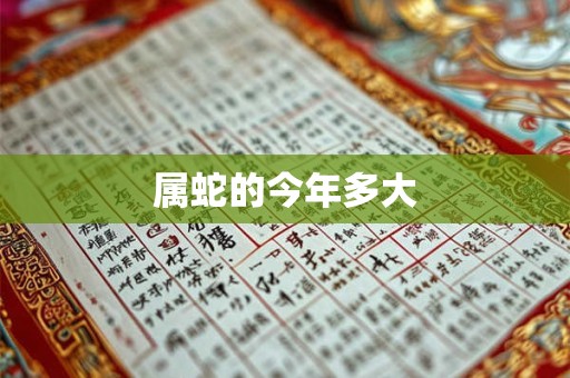 属蛇的今年多大