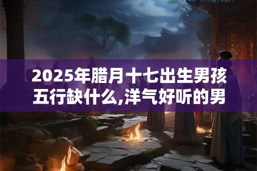 2025年腊月十七出生男孩五行缺什么,洋气好听的男孩名字