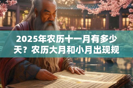 2025年农历十一月有多少天？农历大月和小月出现规律？