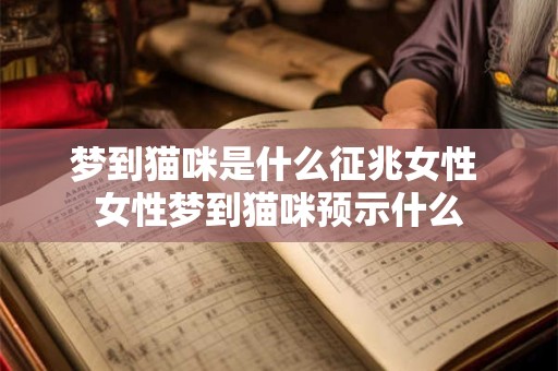梦到猫咪是什么征兆女性 女性梦到猫咪预示什么