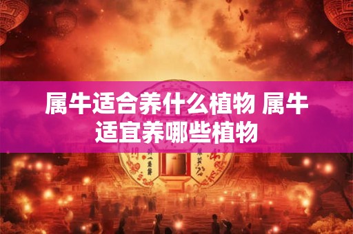 属牛适合养什么植物 属牛适宜养哪些植物
