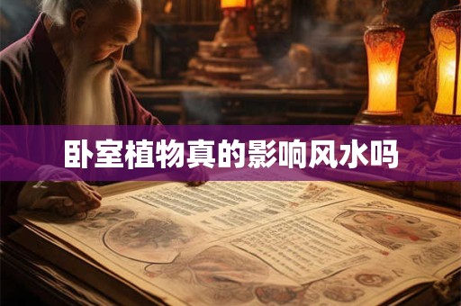 卧室植物真的影响风水吗