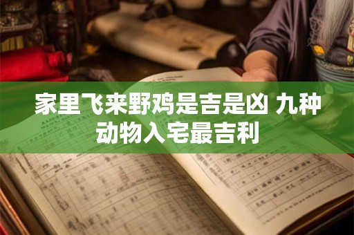 家里飞来野鸡是吉是凶 九种动物入宅最吉利