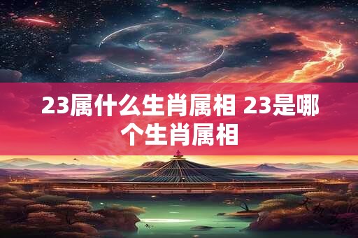 23属什么生肖属相 23是哪个生肖属相