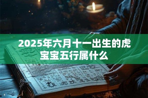 2025年六月十一出生的虎宝宝五行属什么