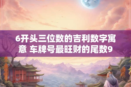 6开头三位数的吉利数字寓意 车牌号最旺财的尾数9