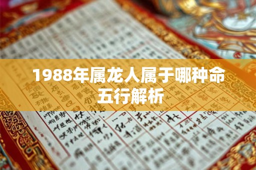 1988年属龙人属于哪种命 五行解析
