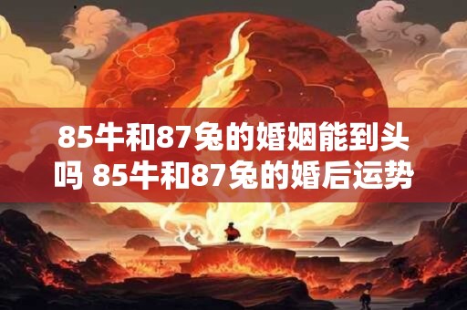 85牛和87兔的婚姻能到头吗 85牛和87兔的婚后运势如何