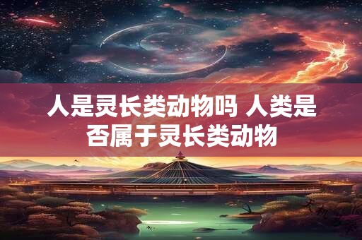 人是灵长类动物吗 人类是否属于灵长类动物