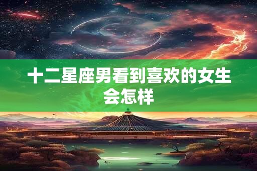 十二星座男看到喜欢的女生会怎样