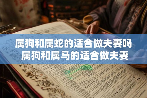 属狗和属蛇的适合做夫妻吗 属狗和属马的适合做夫妻吗