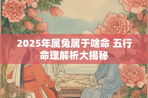 2025年属兔属于啥命 五行命理解析大揭秘