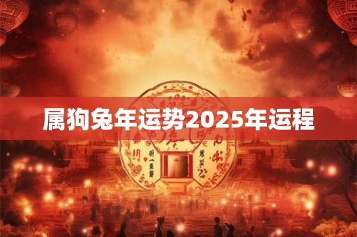 属狗兔年运势2025年运程