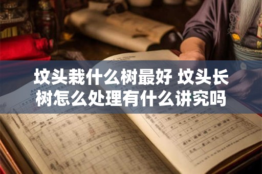 坟头栽什么树最好 坟头长树怎么处理有什么讲究吗