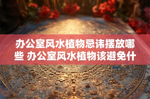 办公室风水植物忌讳摆放哪些 办公室风水植物该避免什么摆放