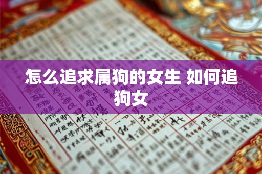 怎么追求属狗的女生 如何追狗女