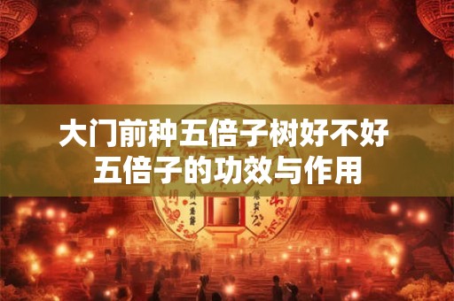 大门前种五倍子树好不好 五倍子的功效与作用