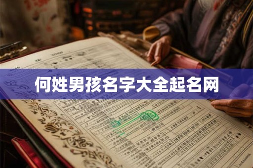何姓男孩名字大全起名网