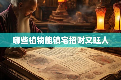 哪些植物能镇宅招财又旺人